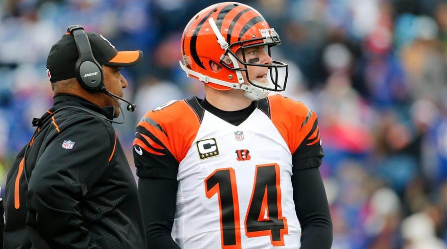 Cincinnati Bengals 2018 Preview Play.it USA